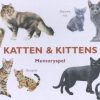 Honden en Katten memo - Afbeelding 2
