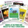 Exploding Kittens - Streaking Kittens - Afbeelding 2